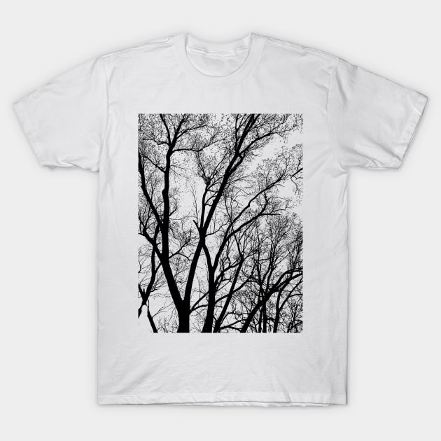 winter tree abstract texture T-Shirt by pholange